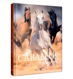 Caballos, razas y orígenes - Imagen 2