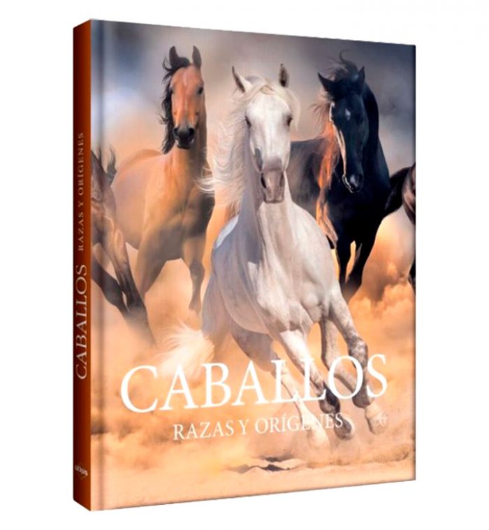Caballos, razas y orígenes - Imagen 2