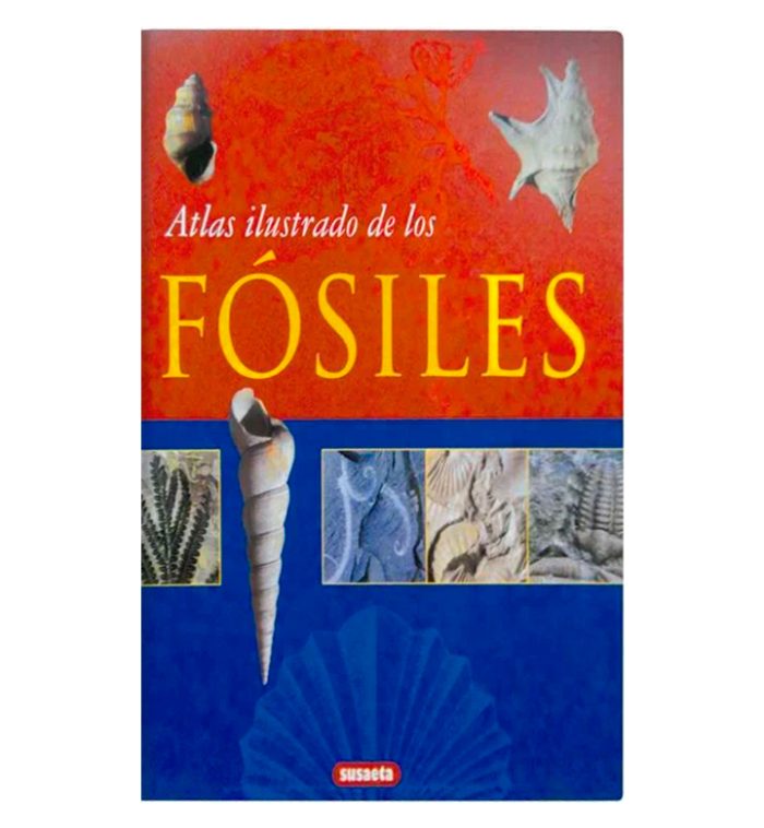 Atlas ilustrado de los fósiles - Imagen 1