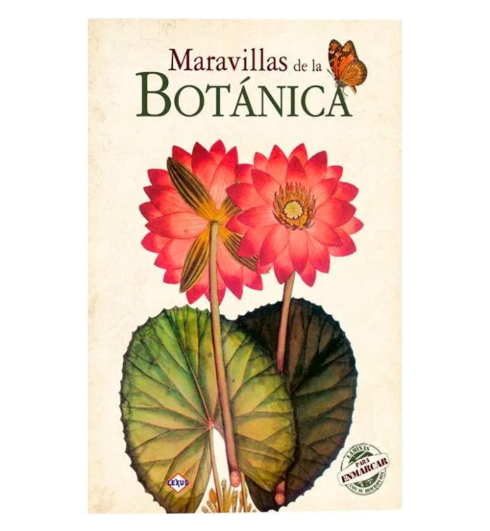 Maravillas de la Botánica - Imagen 1