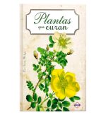 Plantas que curan
