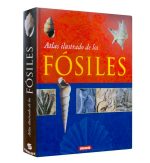 Atlas ilustrado de los fósiles - Imagen 2