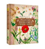 Atlas ilustrado de Plantas silvestres e infusiones curativas - Imagen 2