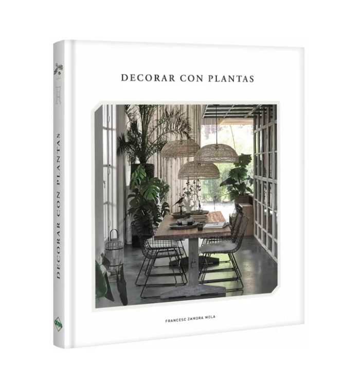 Decorar con plantas - Imagen 2