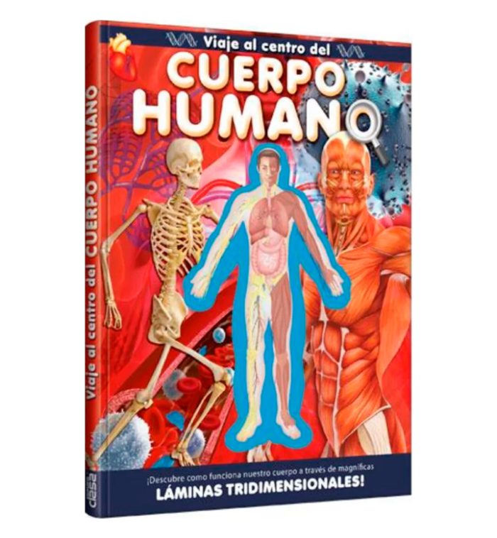 Viaje al centro del cuerpo humano - Imagen 2